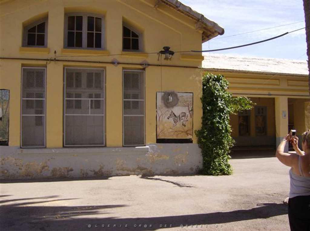 MAGNAN RUE PILOTE DUBOURIEU 272.JPG